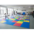 TRINFIT Tatami Fitness T12 - 50 x 50 x 1,2 cm