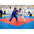 TRINFIT Tatami JUDO T40 - 100 x 100 x 4 cm - červená/modrá